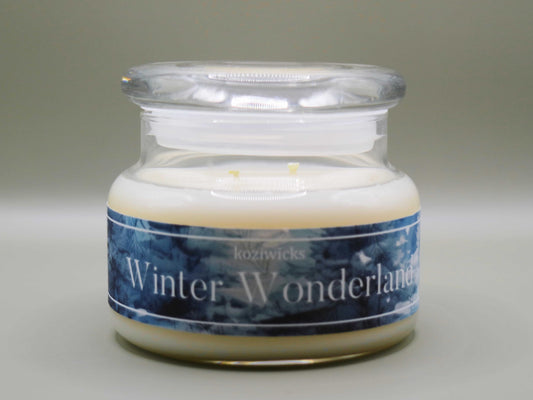 9.9 oz winter wonder land soy candle